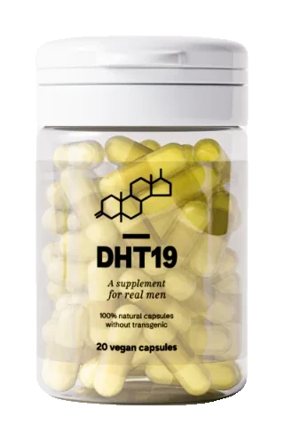 DHT19